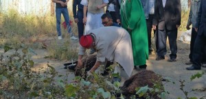 Мусульмане города Ясный Оренбургской области отпраздновали «Курбан-Байрам»